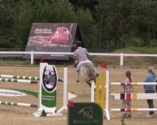 Reitturnier Oberkaufungen 2025