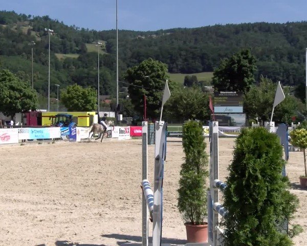 Reitturnier Balsthal 2025