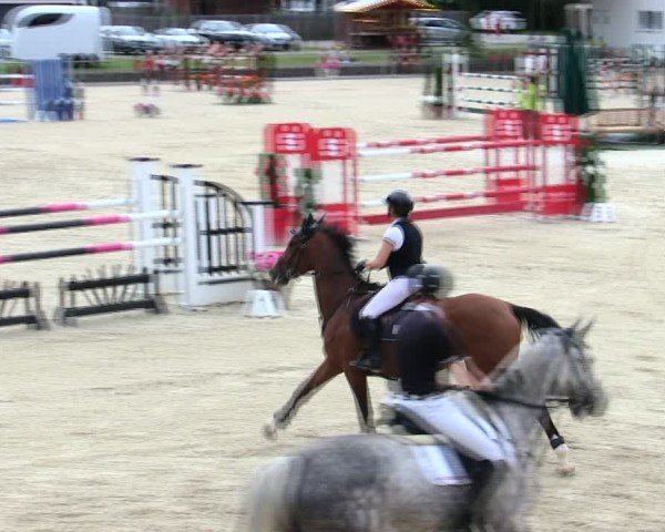 Reitturnier Ingolstadt-Hagau/Obb. 2025
