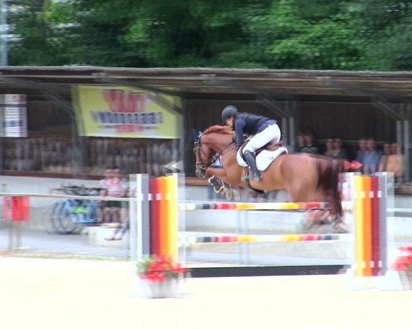 Reitturnier Ingolstadt-Hagau/Obb. 2025