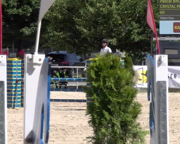 Reitturnier Balsthal 2025
