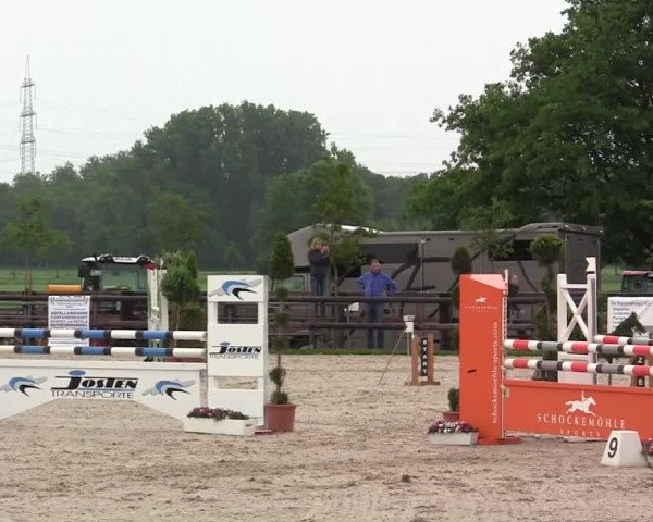 Großes Reit- und Springturnier Kirchhellen/Stall Dieckmann 2014