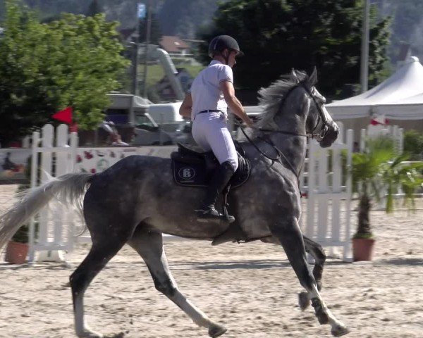 Reitturnier Balsthal 2025