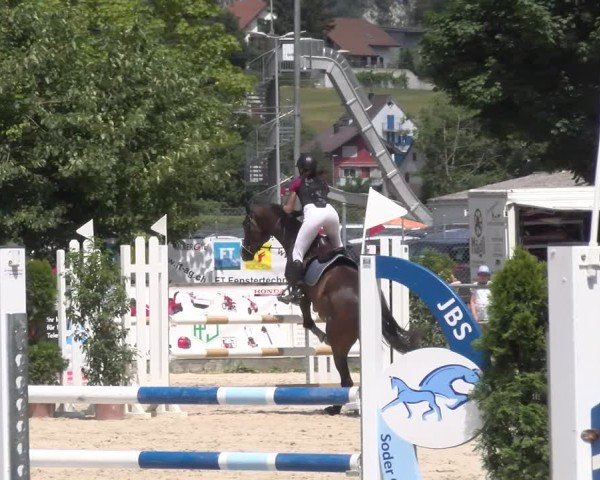 Reitturnier Balsthal 2025