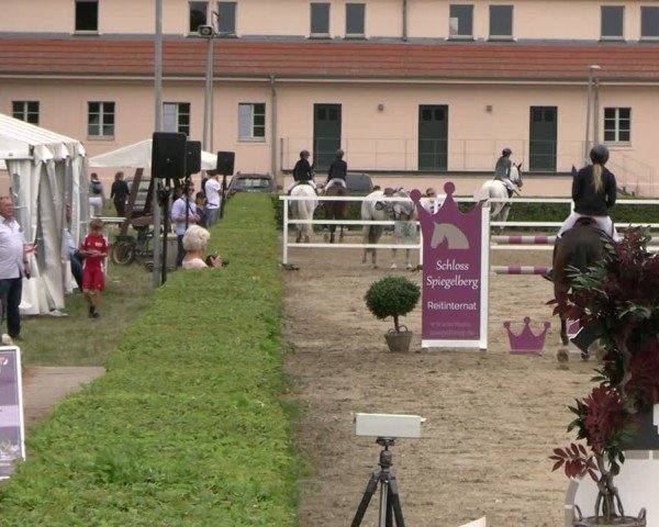 Reitturnier Neustadt/Dosse 2025