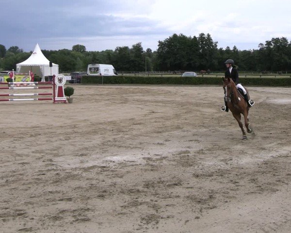 Reitturnier Neustadt/Dosse 2025