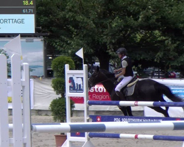 Reitturnier Balsthal 2025