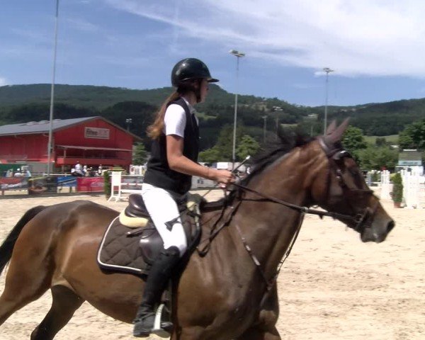 Reitturnier Balsthal 2025