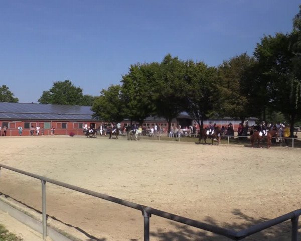 Reitturnier Ascheberg 2021