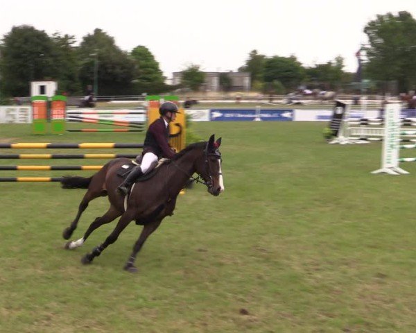 Reitturnier Dersekow 2025