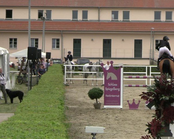Reitturnier Neustadt/Dosse 2025