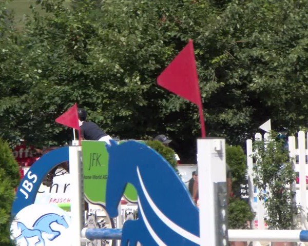 Reitturnier Balsthal 2025