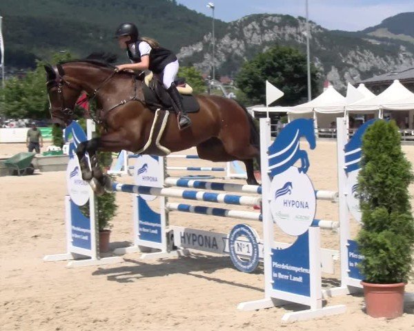 Reitturnier Balsthal 2025