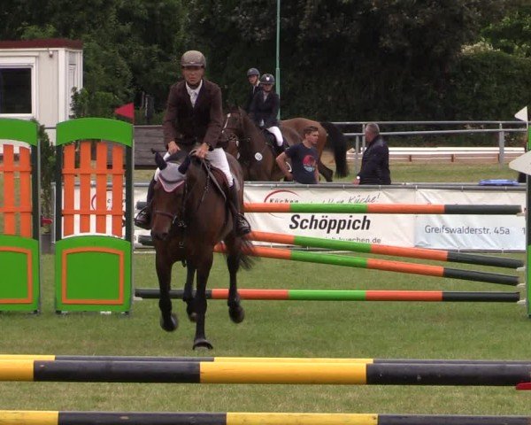 Reitturnier Dersekow 2025