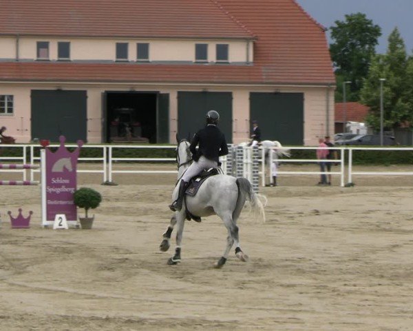 Reitturnier Neustadt/Dosse 2025