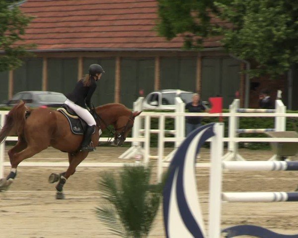 Reitturnier Neustadt/Dosse 2025
