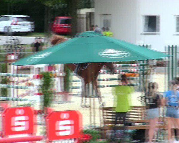 Reitturnier Ingolstadt-Hagau/Obb. 2025