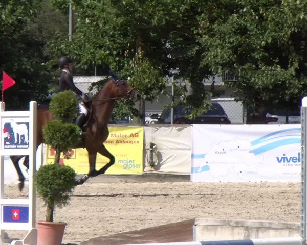 Reitturnier Balsthal 2025