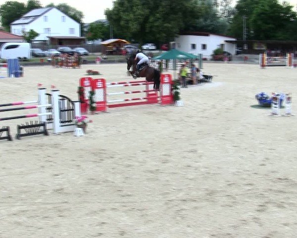 Reitturnier Ingolstadt-Hagau/Obb. 2025