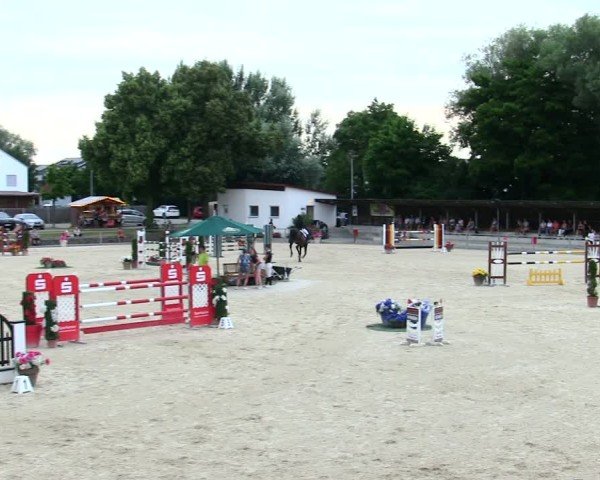 Reitturnier Ingolstadt-Hagau/Obb. 2025