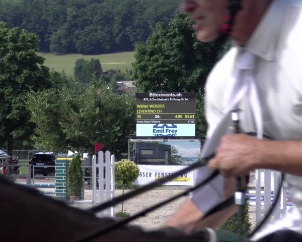 Reitturnier Balsthal 2025