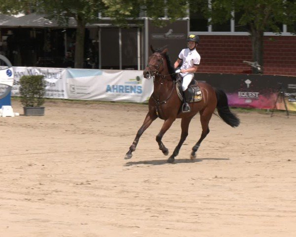 Reitturnier Münster-Roxel 2025