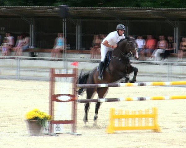 Reitturnier Ingolstadt-Hagau/Obb. 2025