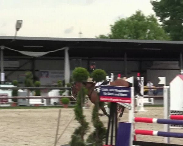 Großes Reit- und Springturnier Kirchhellen/Stall Dieckmann 2014