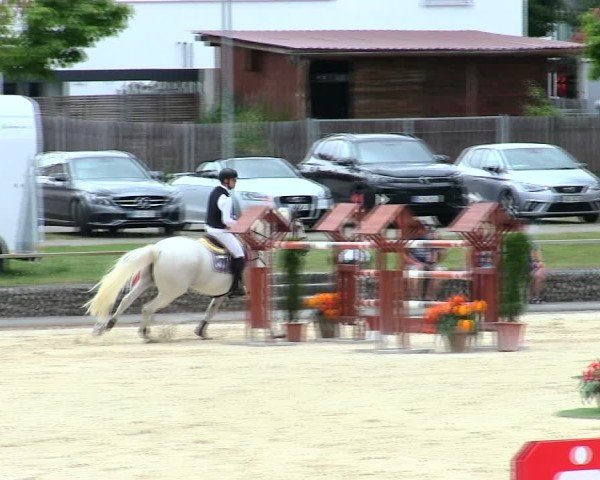 Reitturnier Ingolstadt-Hagau/Obb. 2025
