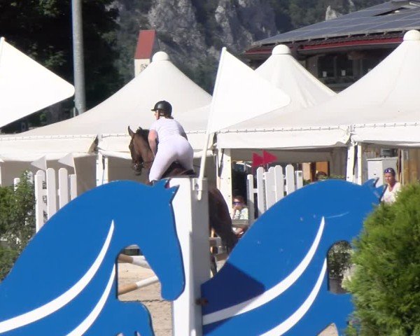 Reitturnier Balsthal 2025