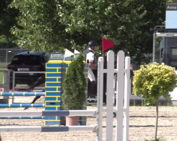 Reitturnier Balsthal 2025