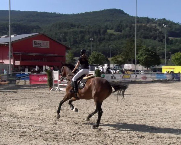 Reitturnier Balsthal 2025