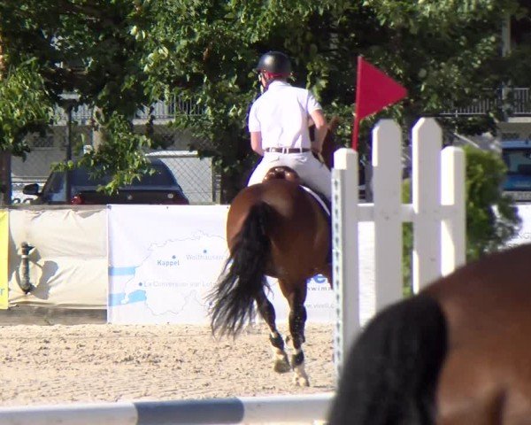 Reitturnier Balsthal 2025