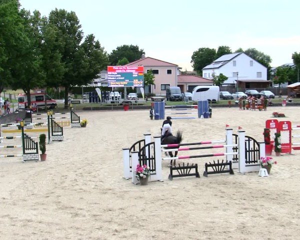 Reitturnier Ingolstadt-Hagau/Obb. 2025