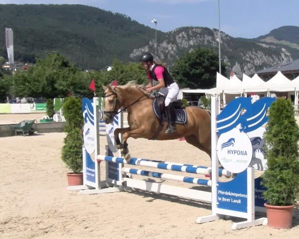 Reitturnier Balsthal 2025
