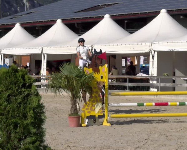 Reitturnier Balsthal 2025