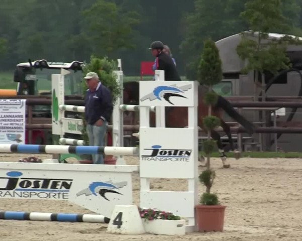 Großes Reit- und Springturnier Kirchhellen/Stall Dieckmann 2014
