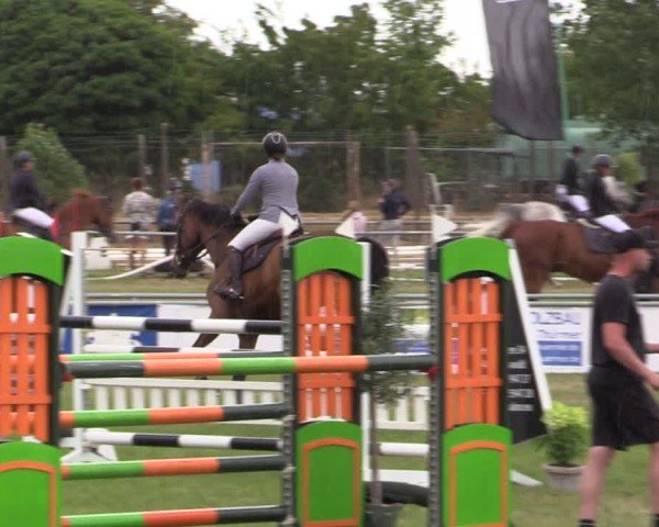 Reitturnier Dersekow 2025
