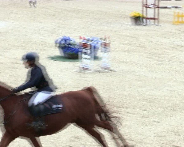 Reitturnier Ingolstadt-Hagau/Obb. 2025