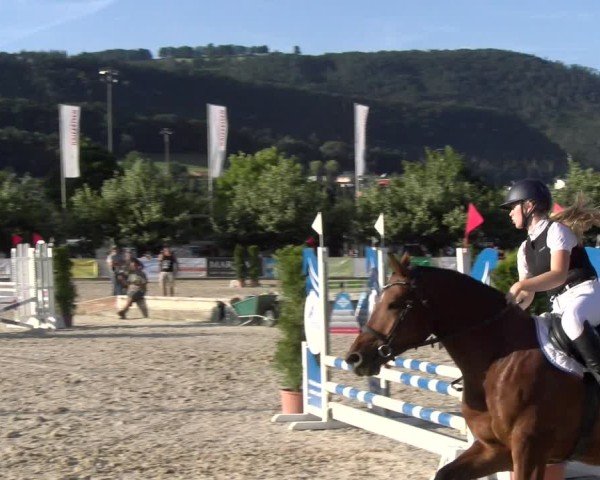 Reitturnier Balsthal 2025