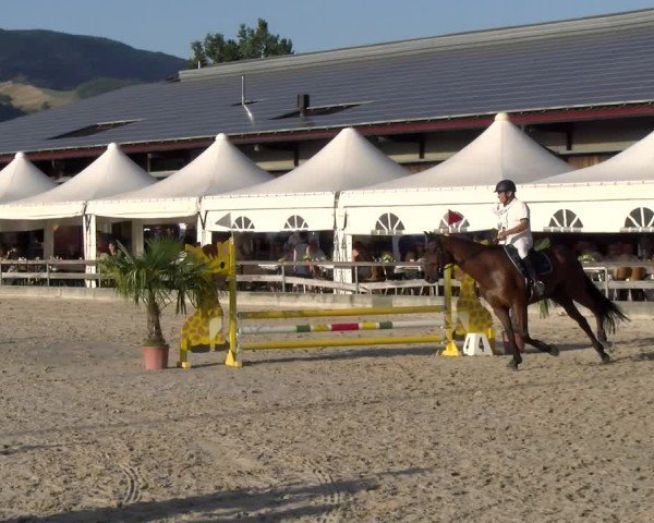 Reitturnier Balsthal 2025