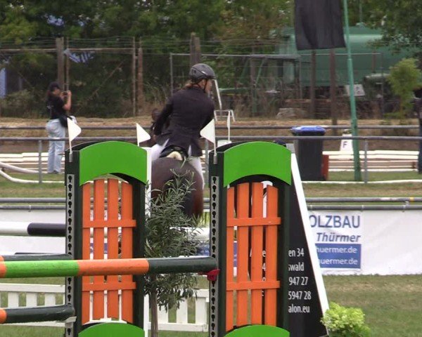Reitturnier Dersekow 2025