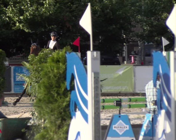 Reitturnier Balsthal 2025