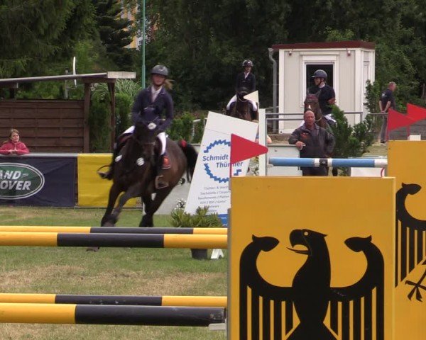 Reitturnier Dersekow 2025