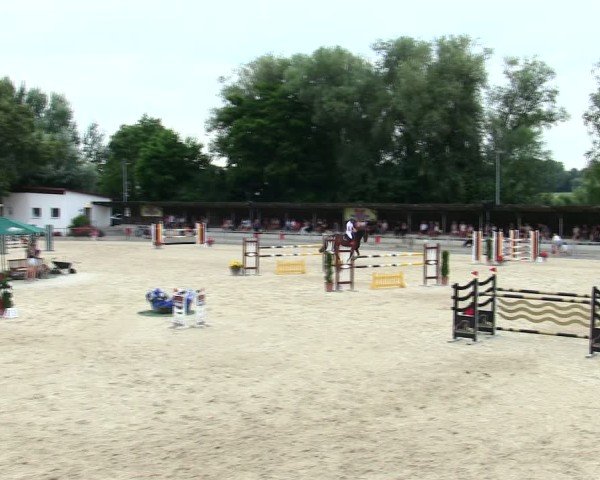 Reitturnier Ingolstadt-Hagau/Obb. 2025