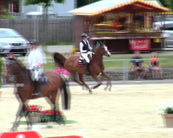Reitturnier Ingolstadt-Hagau/Obb. 2025