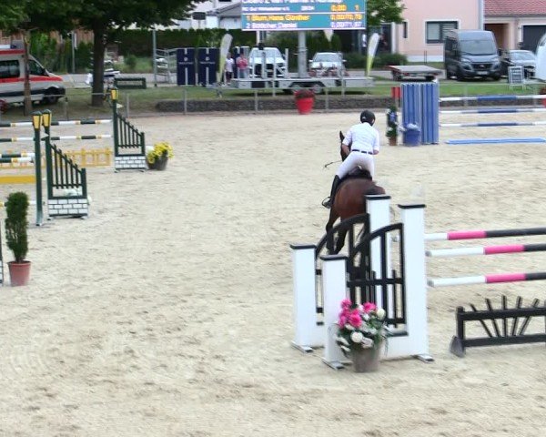 Reitturnier Ingolstadt-Hagau/Obb. 2025