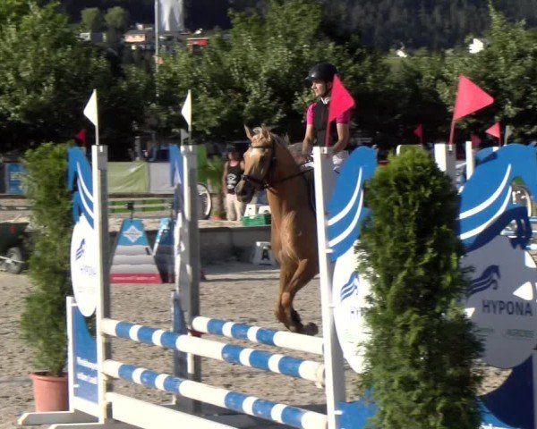 Reitturnier Balsthal 2025