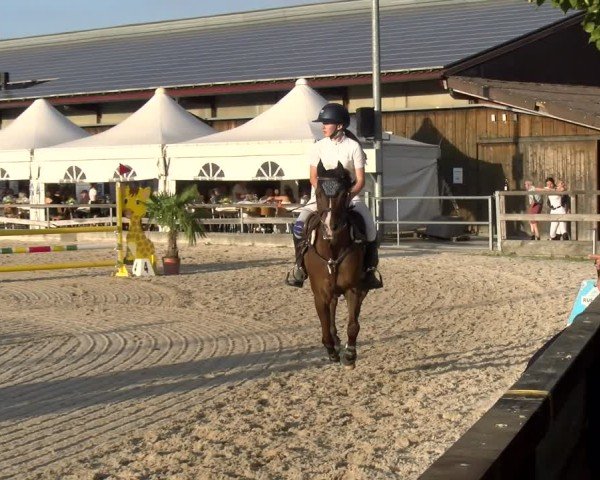 Reitturnier Balsthal 2025