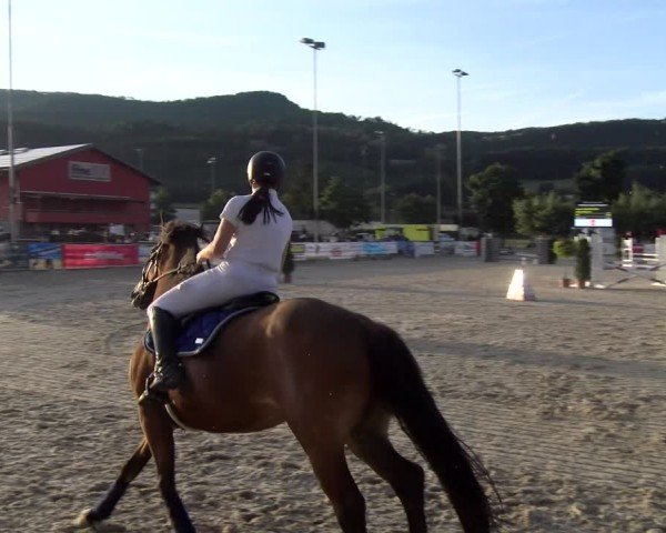 Reitturnier Balsthal 2025